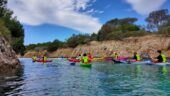 Kayak tours