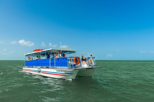 St. Augustine Scenic Cruise and Guided Kayak Eco Tour