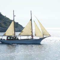 Coffee & Tea Tours