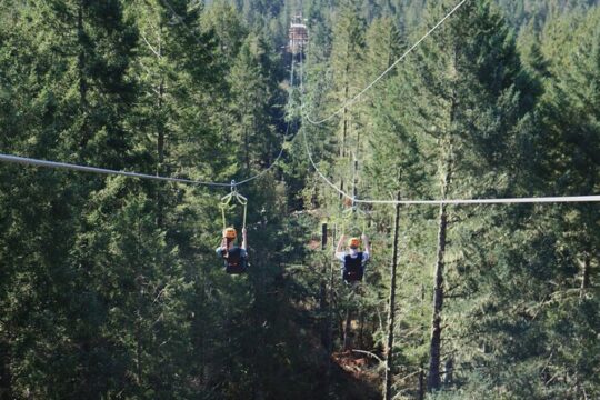 The Big Zip Experience