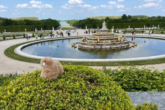 Versailles Half Day Small Group Tour Trianons and Gardens