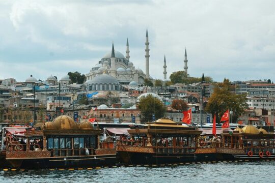Explore Istanbul in a Half Day Private Tour