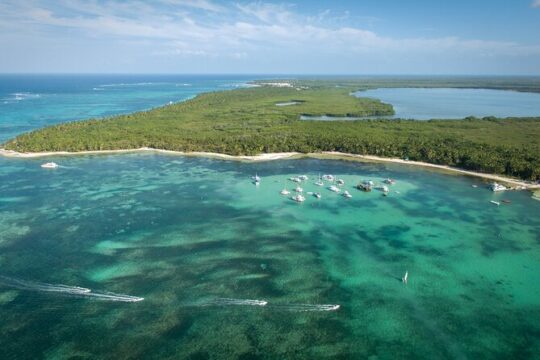 Small Group Punta Cana Snorkeling with Premium Open Bar