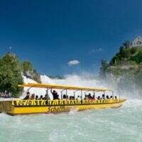Day Cruises