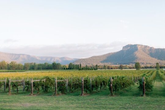 Sydney Hunter Valley Private Wine Tour with Tastings and Lunch