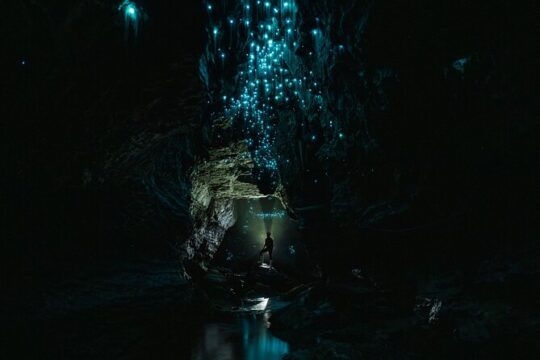 Okahua Glowworm Cave Adventure