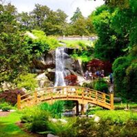 Plantation Tours
