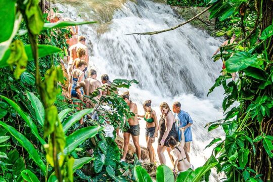 Dunn's River Falls & Park, and Ocho Rios Highlights