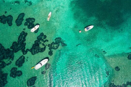Dubrovnik Private Snorkeling to Blue and Green Cave with Drinks