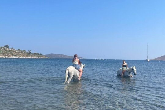 Bodrum Horse Safari Adventure