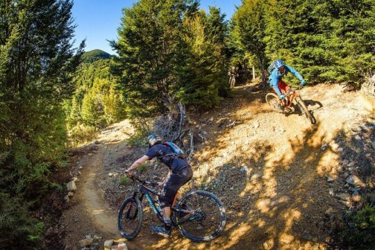 Wairoa Gorge MTB Park Private Shuttle Day
