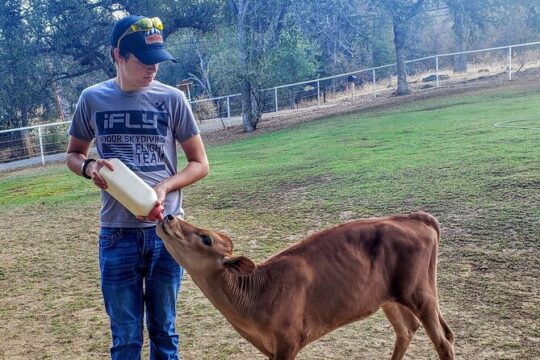 Blossom Peak Farm Tour