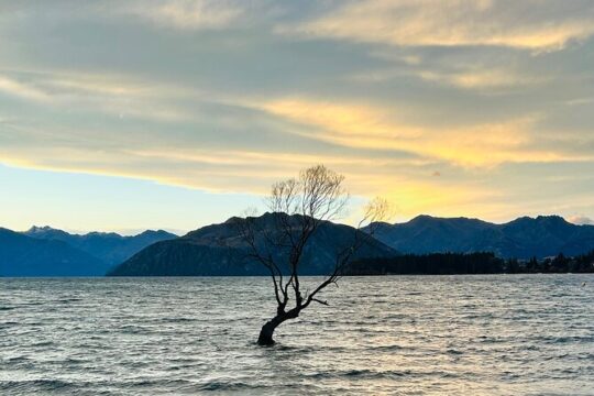Private Driver Hire – Full-Day Touring Anywhere in New Zealand