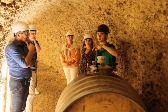 GroMonte: Cave, Wine and History in Montefiore dell'Aso