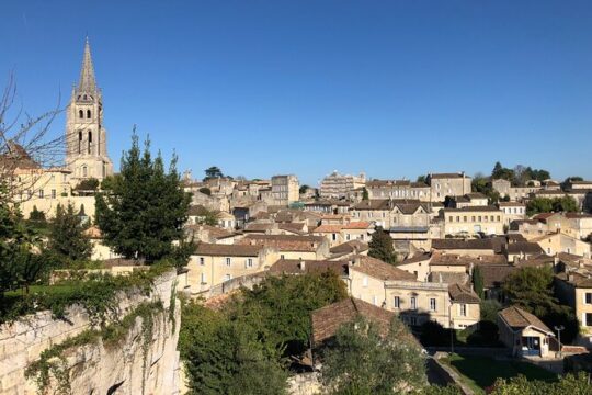 From Bordeaux Vineyard Tour in Saint Emilion Half Day