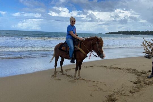Horseback Riding Adventure The River and Countryside Beach Route