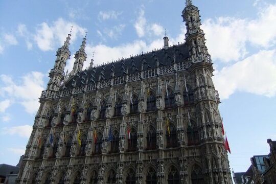Leuven - Private Historic Walking Tour
