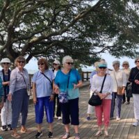 Cultural & Theme Tours