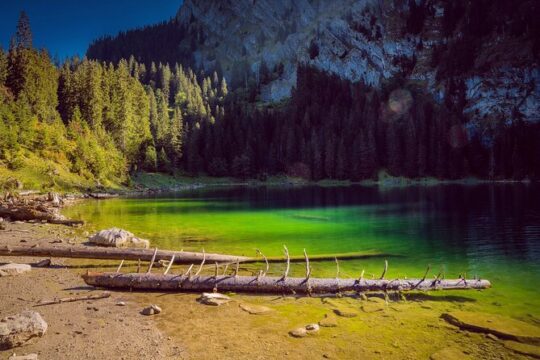 Raclette by the Lake Hinterburgseeli and Walking Tour from Axalp