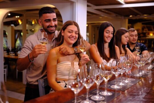 Santorini Wine Tour in Greece