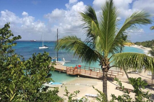 Full-Day Snorkeling Adventure to Catalina Island from Bayahibe