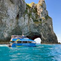 Glass Bottom Boat Tours