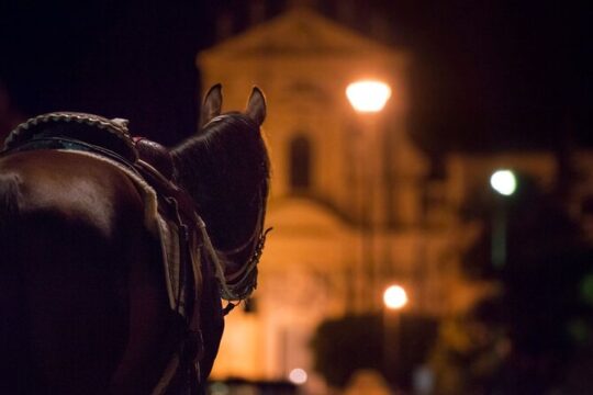 Palermo by Night: Ghosts, Crime and Tastings Tour