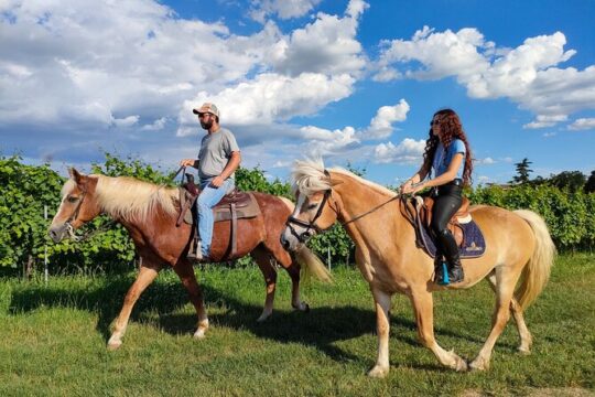 Horseback Riding with wine tasting in Lake Garda vineyards