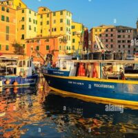 Fishing Charters & Tours