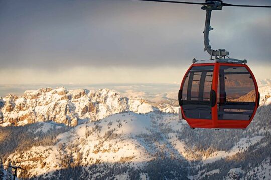 Mt. Rainier tour with Gandola ride at Sunrise and Paradise