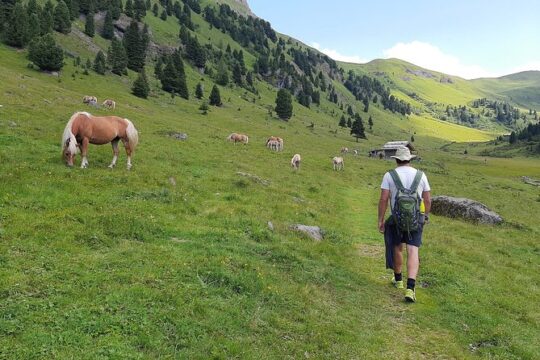 Dolomites Guided Trek from Canazei to Baita Ciadinat
