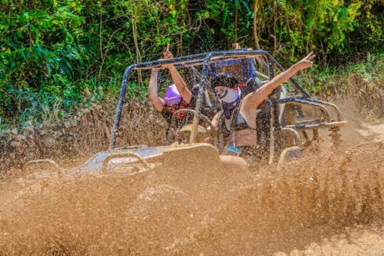 Tropical Buggy Tour to Water Cave and Macao Beach