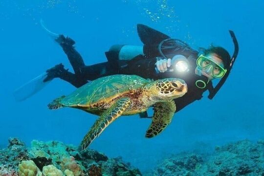 Kemer Scuba Diving and Snorkeling Trip