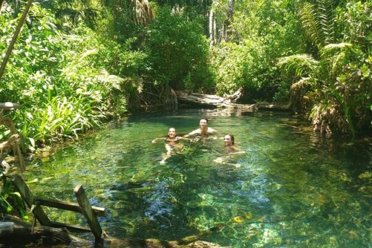Sisal’s Natural Wonders: Kayak, Lagoon & Beach Tour from Mérida