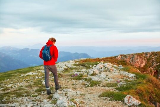 Day Trip from Vienna to Alpine Peaks & Lakeside Wine with Lunch