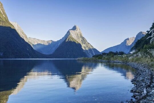 Cruise and Picnic Lunch Milford Sound Small Group Tour