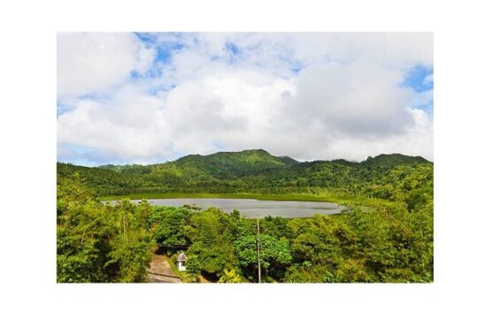 Half Day Private Island Adventure in Grenada