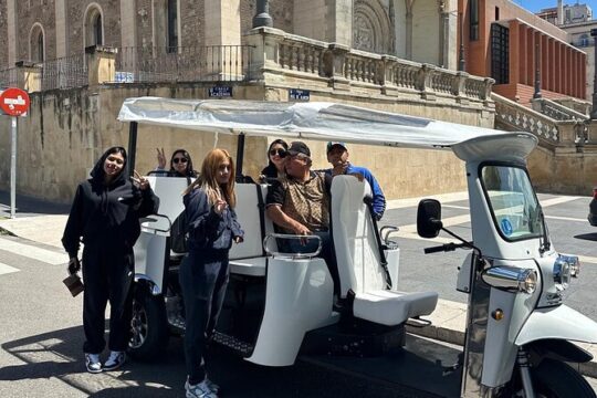 2 Hour Madrid City Expert Tour