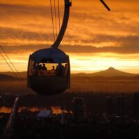 Trolley Tours