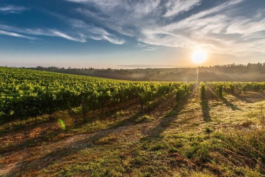 PREMIUM TOUR SMALL GROUP: Salt Mine Exploration and Wine Tasting