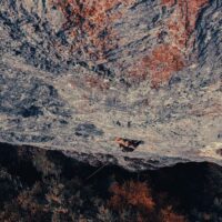 Climbing