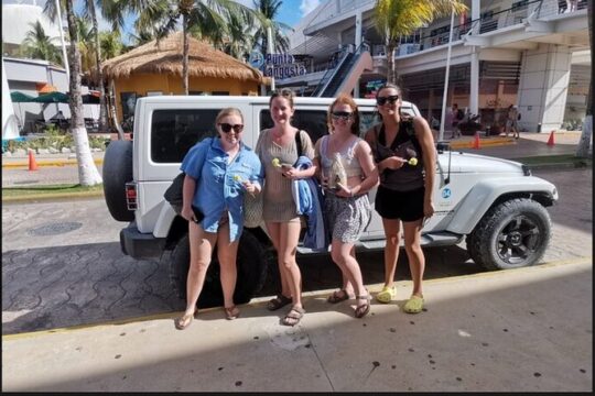 Local Island Tour With Food and Snorkel