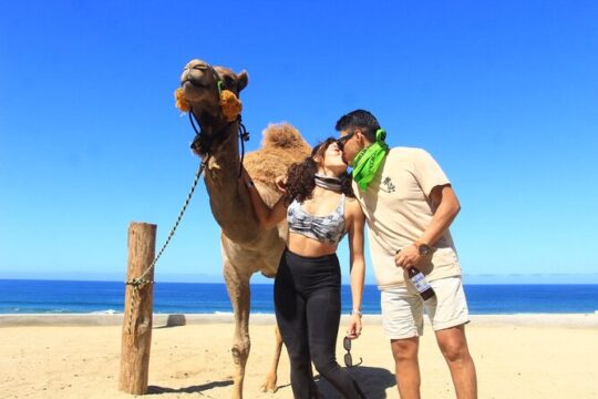 ATV and Camel Combo tour in Cabo San Lucas