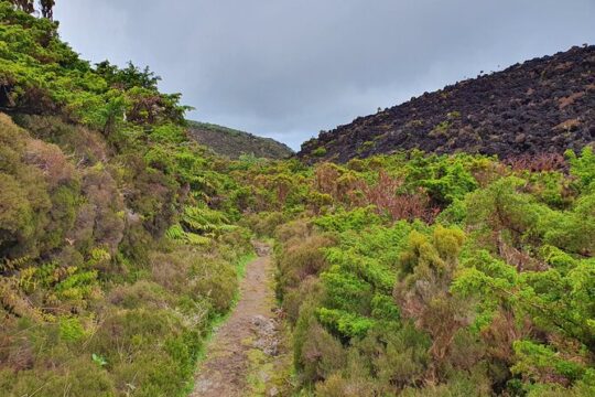 Terceira Island Half Day Hiking Trail Mistérios Negros