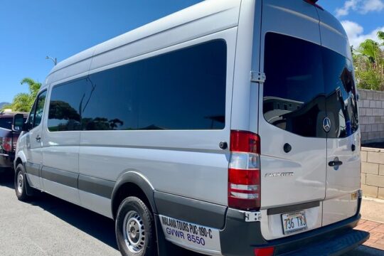 Private Half Day Oahu North Shore Anti-Tour