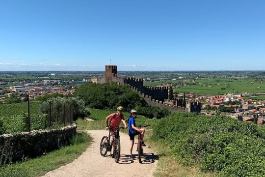 E-Bike and Wine Tasting Experience in Soave