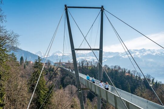 Kaiserstuhl Minibus Tour from Meiringen Switzerland