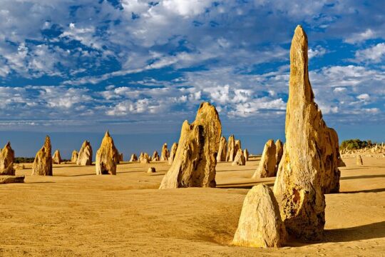 Turquoise Coast Day Tour: Sand Dune+Pinnacles+Lake Thetis