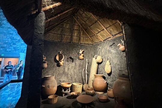 Guided Tour of the National Museum of Anthropology