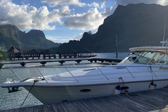 Exceptional whale watching in a Tahiti Yacht